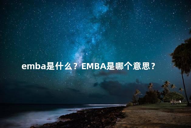 emba是什么？EMBA是哪个意思？-简单解释
