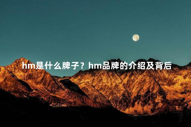 hm是什么牌子？hm品牌的介绍及背后的故事