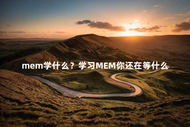 mem学什么？学习MEM你还在等什么