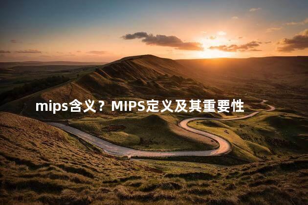 mips含义？MIPS定义及其重要性简介