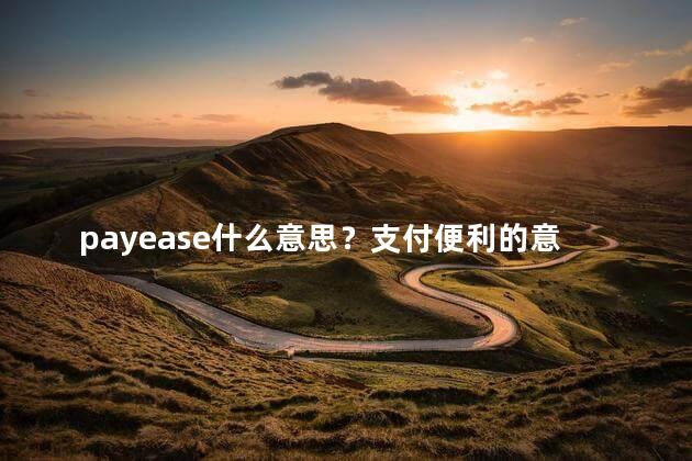 payease什么意思？支付便利的意思