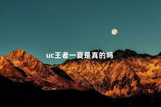 uc王者一夏是真的吗