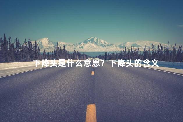 下降头是什么意思？下降头的含义