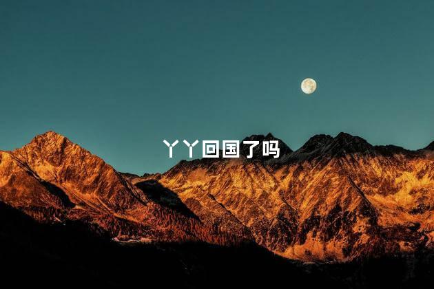 丫丫回国了吗，熊猫丫丫回国了吗