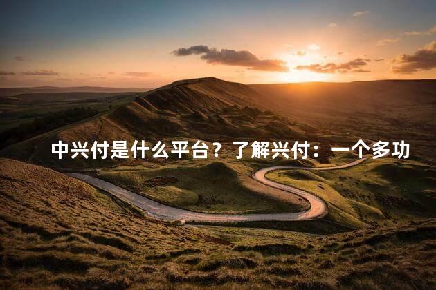 中兴付是什么平台？了解兴付：一个多功能支付平台