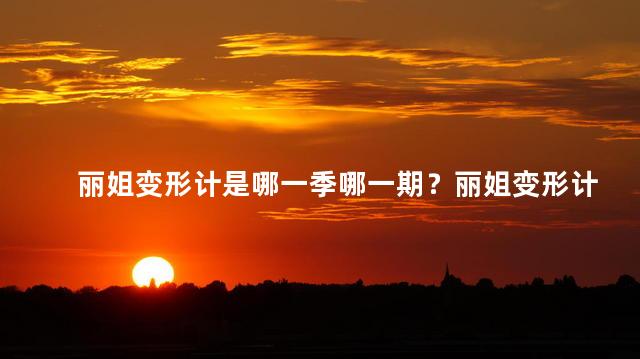 丽姐变形计是哪一季哪一期？丽姐变形计第几季第几期是哪一期
