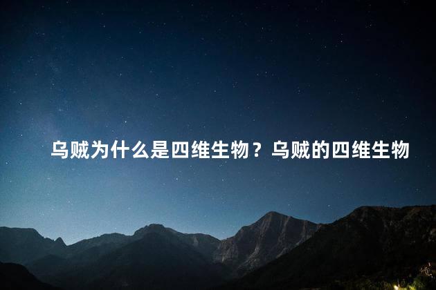 乌贼为什么是四维生物？乌贼的四维生物之谜