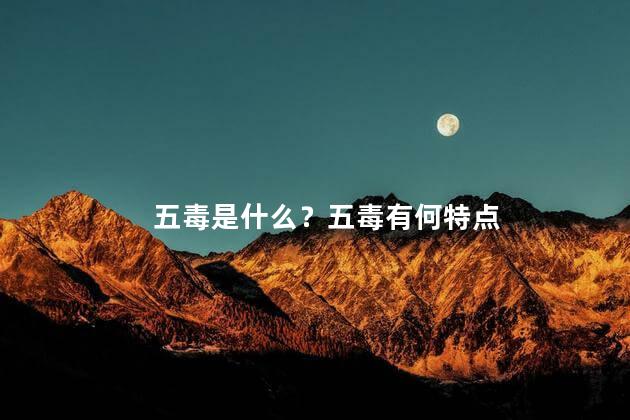 五毒是什么？五毒有何特点