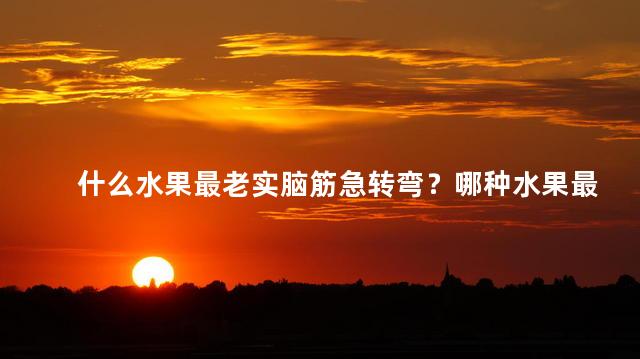 什么水果最老实脑筋急转弯？哪种水果最守信用脑筋急转弯