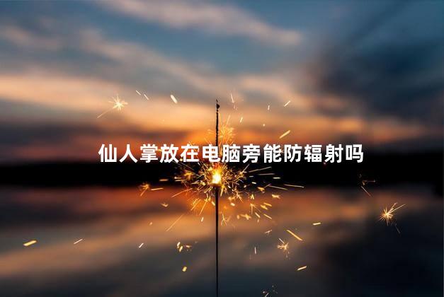 仙人掌放在电脑旁能防辐射吗