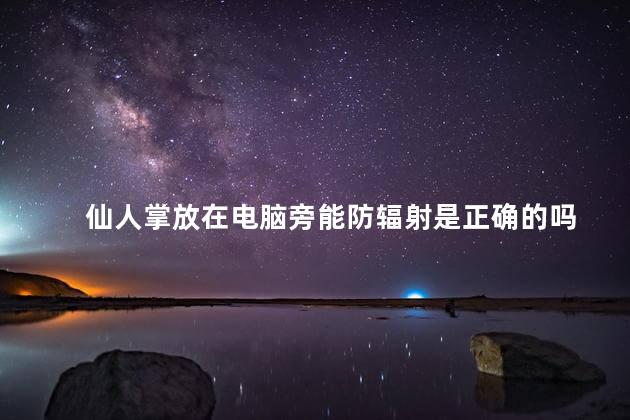 仙人掌放在电脑旁能防辐射是正确的吗