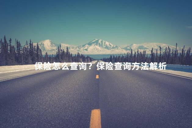 保险怎么查询？保险查询方法解析
