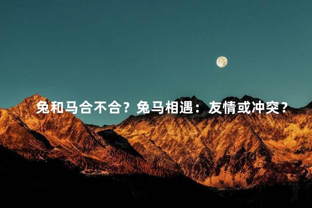 兔和马合不合？兔马相遇：友情或冲突？