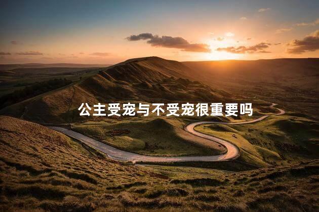 公主受宠与不受宠很重要吗