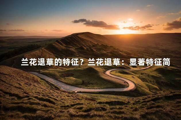 兰花退草的特征？兰花退草：显著特征简述