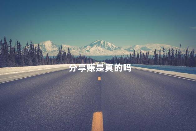 分享赚是真的吗