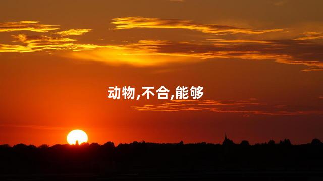 马和蛇合不合？马与蛇：朋友还是敌人？