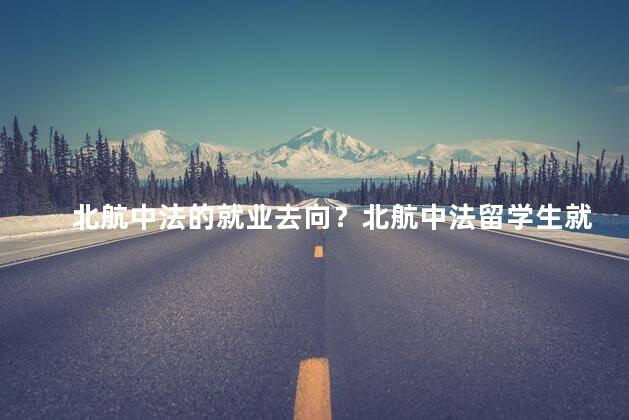 北航中法的就业去向？北航中法留学生就业趋势：深度解析就业去向