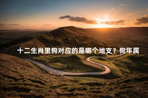 十二生肖里狗对应的是哪个地支？狗年属于哪个地支？解析十二生肖与地支对应关系