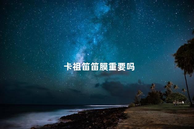 卡祖笛笛膜重要吗