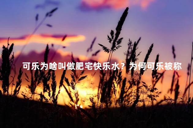 可乐为啥叫做肥宅快乐水？为何可乐被称为胖宅们的快乐水