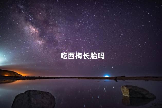 吃西梅长胎吗