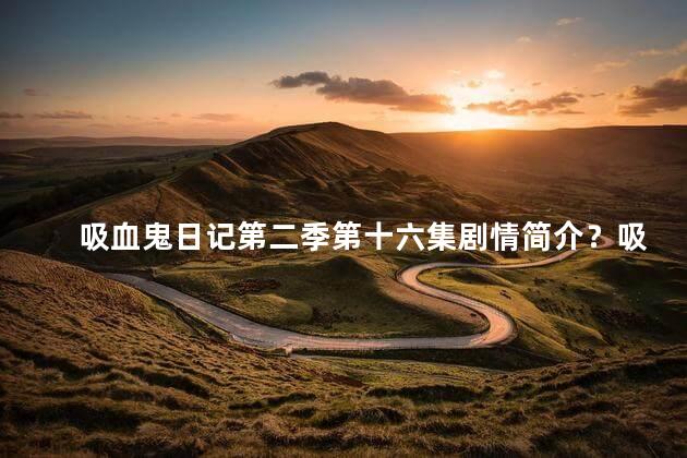 吸血鬼日记第二季第十六集剧情简介？吸血鬼日记第二季第十六集：终极对决