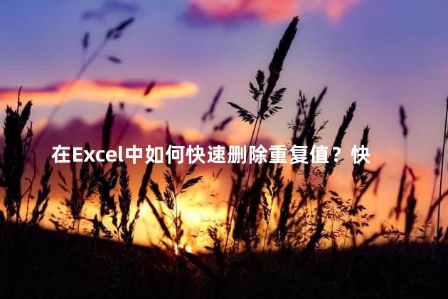 在Excel中如何快速删除重复值？快速删除Excel中重复值的方法