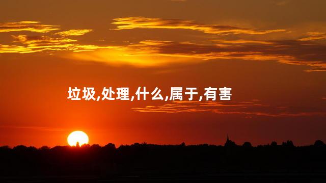 猫屎属于什么垃圾？猫屎该如何处理？指南解析猫屎的处理方法