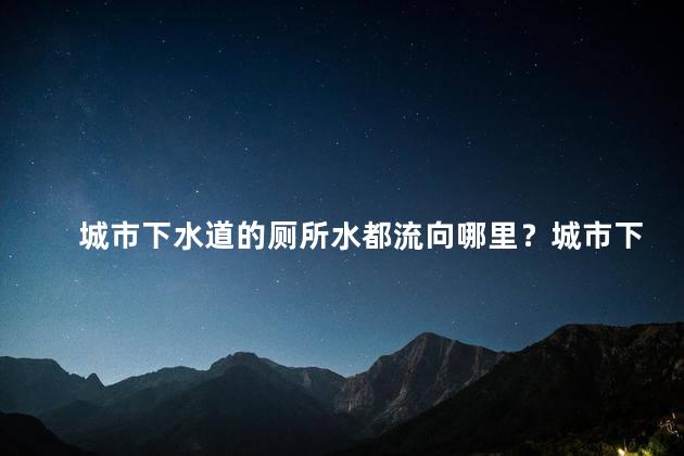 城市下水道的厕所水都流向哪里？城市下水道中的厕所水流向何处