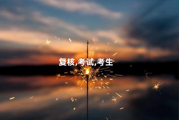 复核,考试,考生