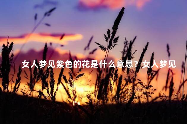 女人梦见紫色的花是什么意思？女人梦见紫色花的寓意是什么