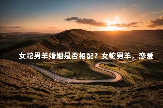 女蛇男羊婚姻是否相配？女蛇男羊，恋爱绝配还是完美组合？