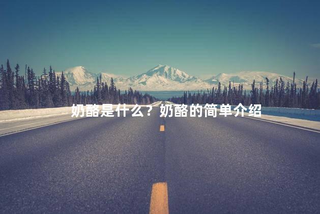 奶酪是什么？奶酪的简单介绍