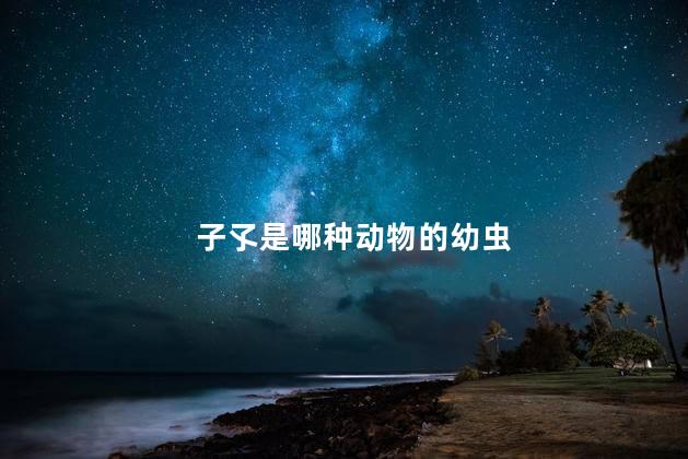 子孓是哪种动物的幼虫，孑孓是什么虫子