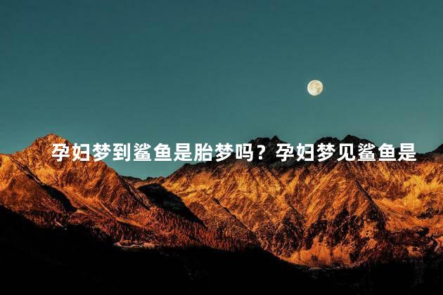 孕妇梦到鲨鱼是胎梦吗？孕妇梦见鲨鱼是什么寓意？35字：解读孕妇梦中鲨鱼的意义