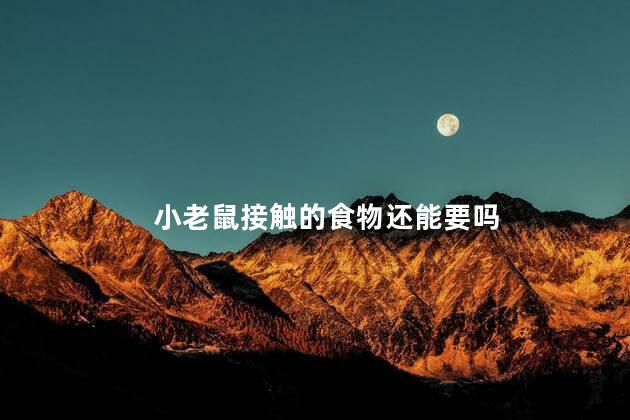 小老鼠接触的食物还能要吗