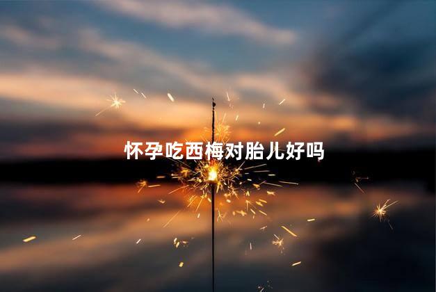 怀孕吃西梅对胎儿好吗