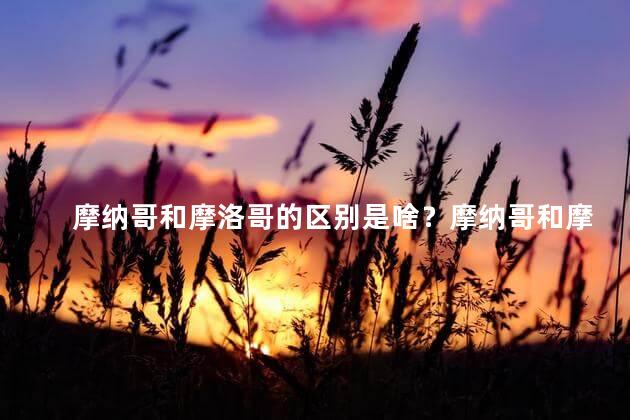 摩纳哥和摩洛哥的区别是啥？摩纳哥和摩洛哥：区别与共同之处