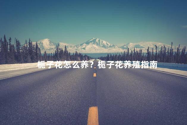 栀子花怎么养？栀子花养殖指南