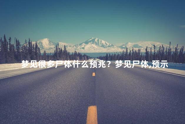 梦见很多尸体什么预兆？梦见尸体，预示什么？