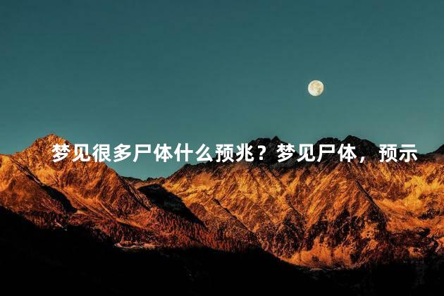 梦见很多尸体什么预兆？梦见尸体，预示什么？
