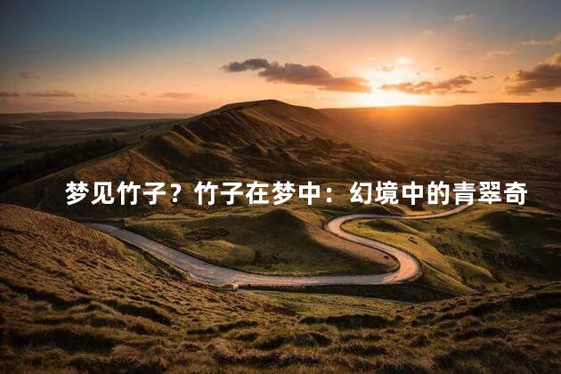 梦见竹子？竹子在梦中：幻境中的青翠奇观！