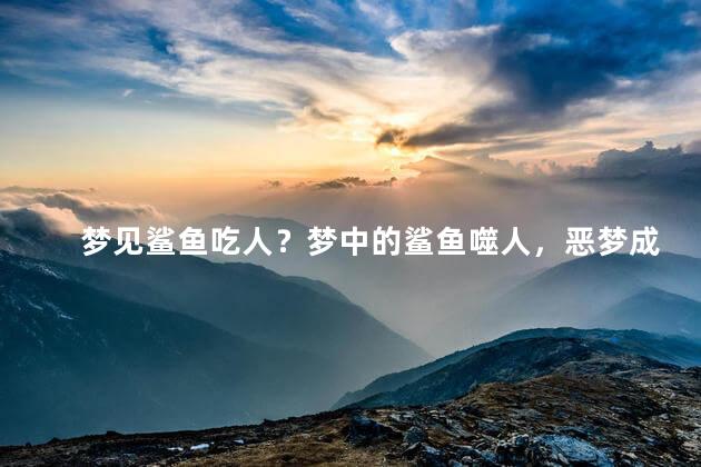 梦见鲨鱼吃人？梦中的鲨鱼噬人，恶梦成真