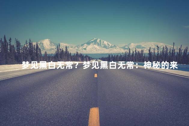 梦见黑白无常？梦见黑白无常：神秘的来访者