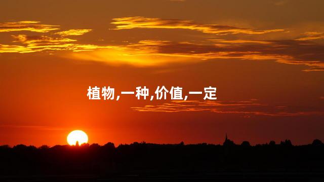 紫丁香是什么植物？紫丁香是哪种花？
