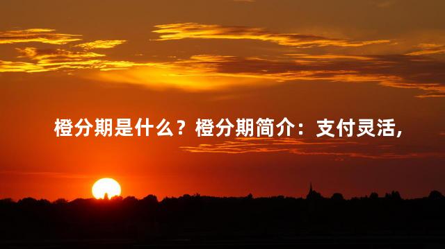 橙分期是什么？橙分期简介：支付灵活，购物无忧