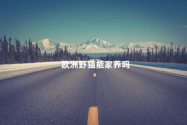 欧洲野猫能家养吗