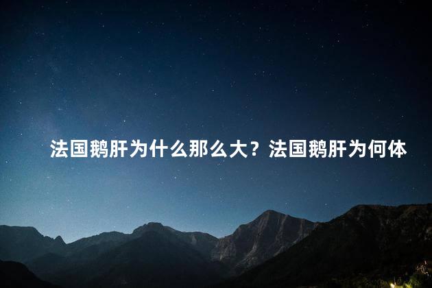 法国鹅肝为什么那么大？法国鹅肝为何体积庞大？