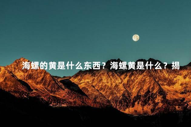 海螺的黄是什么东西？海螺黄是什么？揭秘这个神秘物质